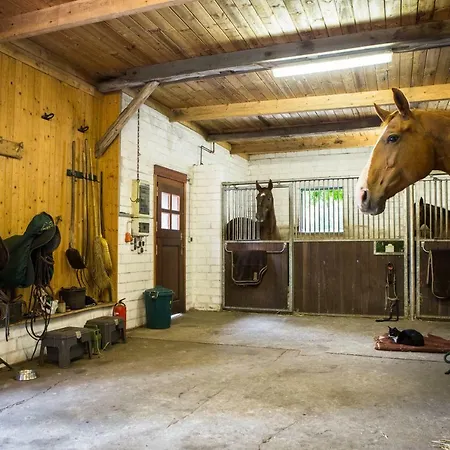 Davidshof, שנברדינגן